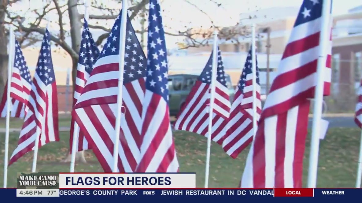 Bull Run Rotary Club celebrates veterans with annual Flags for Heroes display